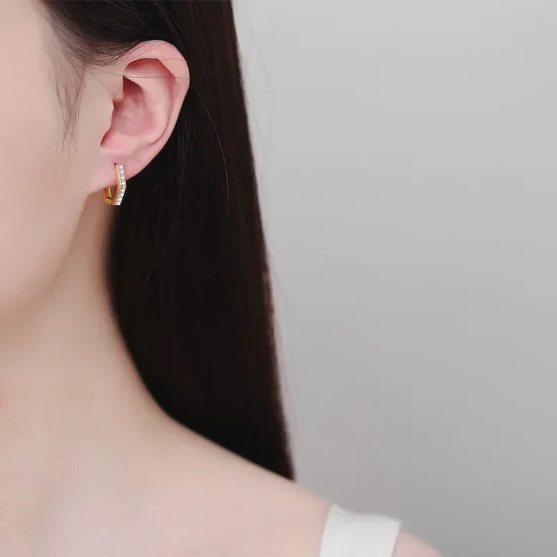 Geometric Hexagonal Moissanite Diamond 0.4 Carat Hoop Earrings, 18K Rose Gold Earring Fine Jewelry Birthday Gift for Women Ins